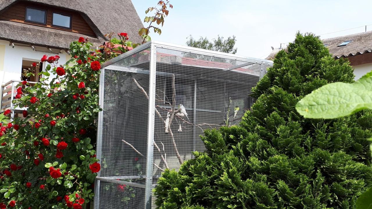 Monchgut Boddenblick Wohnung 2 Groß Zicker Zewnętrze zdjęcie