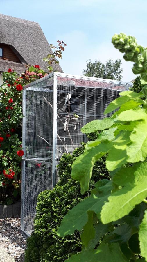 Monchgut Boddenblick Wohnung 2 Groß Zicker Zewnętrze zdjęcie